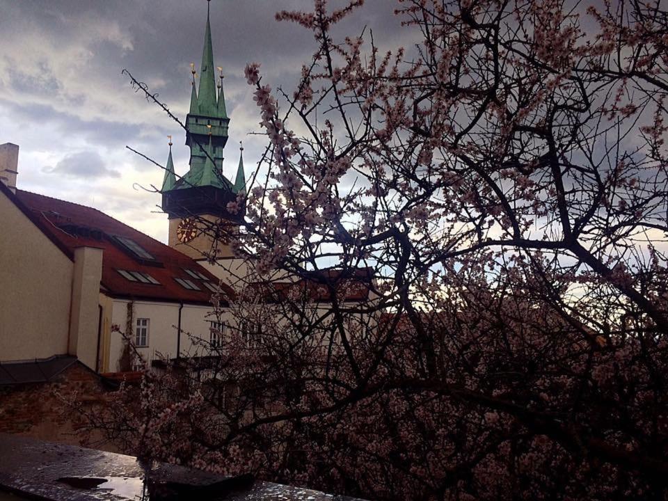 Althansky Palac Hotel Znojmo Exterior photo